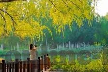 av人妻-探索AV人妻现象，理解与反思
