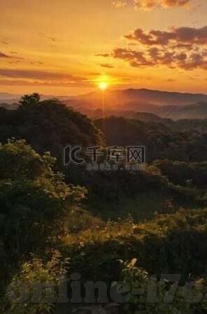 成成人三级视频免费视频-成人三级视频免费视频，网络伦理与自我保护