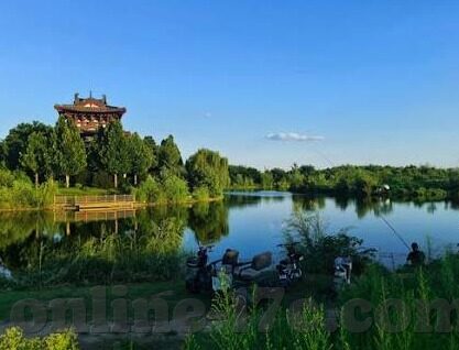 麻豆91视频免费观看-持续攀升的关注，关于麻豆91免费视频的探寻