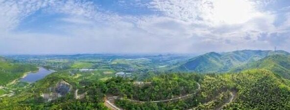 麻豆91网页-探讨网络成人内容平台的多元性与风险影响