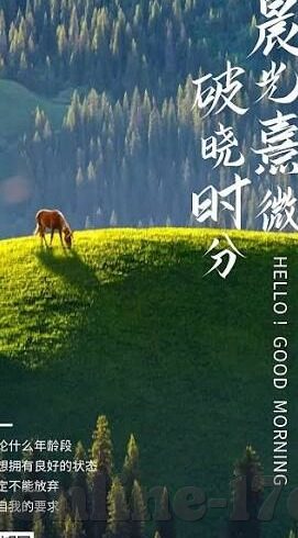 麻豆av网址在线播放-拒绝访问非法或者成人内容网站，不仅是对我们自身健康和安全负责人，也是对他人和网路环境的尊重