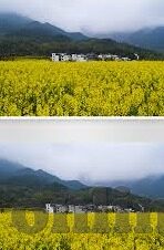 麻豆文化传媒app-麻豆文化传媒App，重塑数字阅读与分享新体验