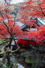 日韩激情av-探索日韩文化中的独特情感表达，从影视艺术到情感交流的深度剖析