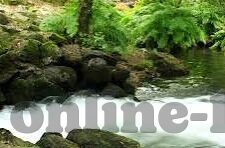 无码专区人妻系列日韩精品-探索成人内容领域的文化与界限，日韩精品无码专区人妻系列的背后